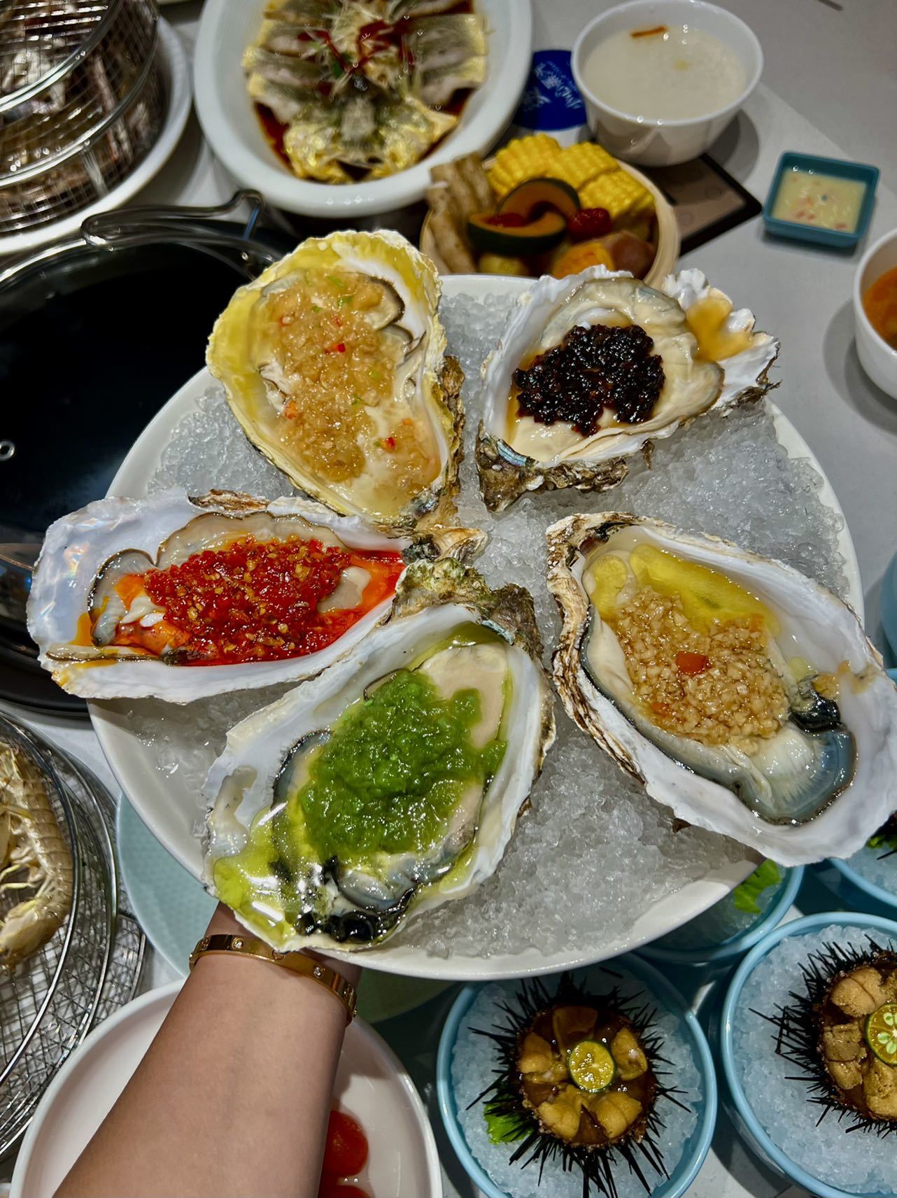 九游网站 -兽sg906pro